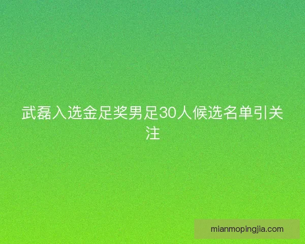 武磊入选金足奖男足30人候选名单引关注 武磊入选金足奖男足30人候选名单引关注